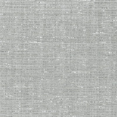 Schumacher Wallpaper ANODIZED RAFFIA PLATINUM