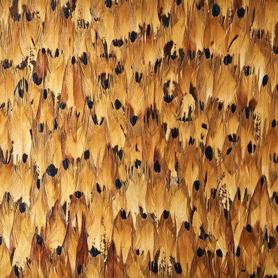 Schumacher Wallpaper AVENTURINE TULIP YELLOW