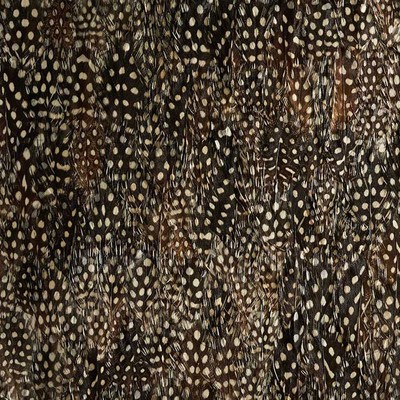 Schumacher Wallpaper KRYPTON BLACK PEARL