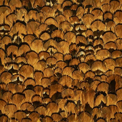 Schumacher Wallpaper LIMONITE APRICOT