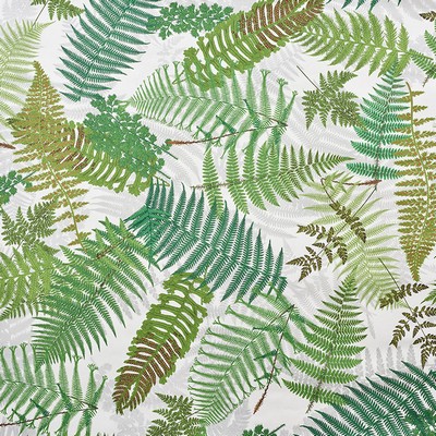 Schumacher Wallpaper FERNARIUM IVORY & LEAF