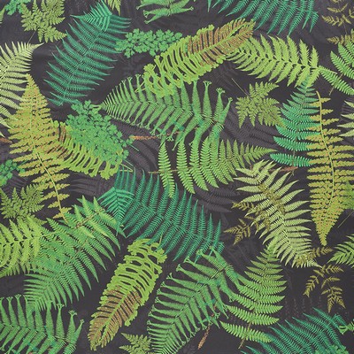 Schumacher Wallpaper FERNARIUM BLACK & LEAF