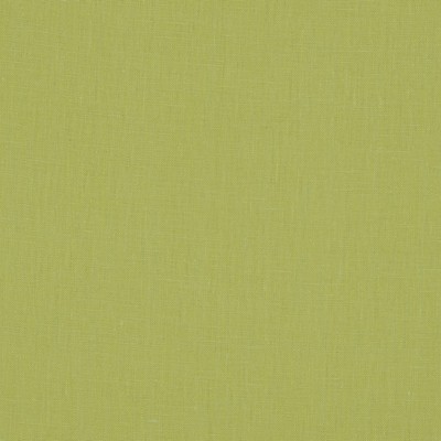 Covington BRUSSELS 282 LIME