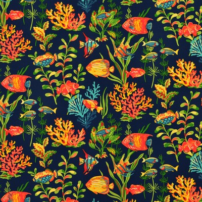 Covington DORY 55 NAVY