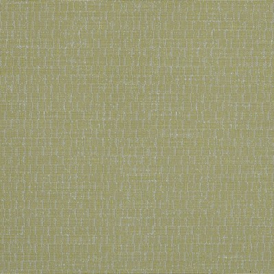 Covington EDINBURGH 244 ACID GREEN