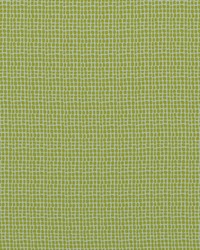Covington Keeley 244 Acid Green Fabric