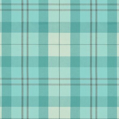 Covington LELAND 545 MINERAL