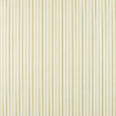 Magnolia Home Fashions MG-COTTAGE STRIPE BARLEY