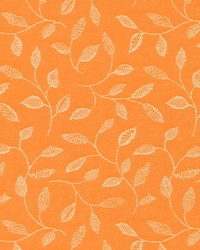 Covington Sabrina 321 Tangerine Fabric