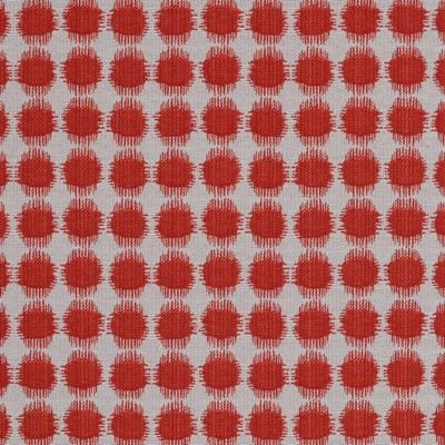 Covington SESTO 329 SALSA