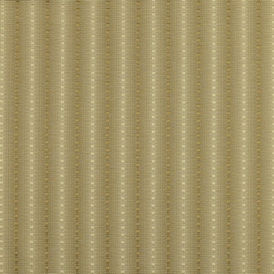 Covington SKYLAR 238 KASHMIR