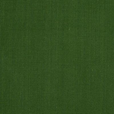 Covington Sundance Washed Redford 28 VERDE