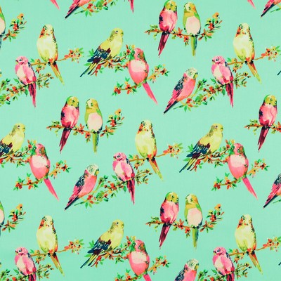 Covington TWEETY 513 EGGSHELL BLUE