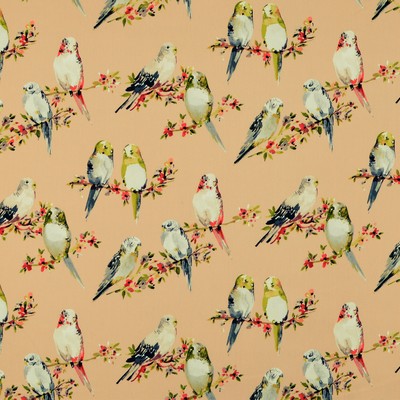 Covington TWEETY 7 BLUSH