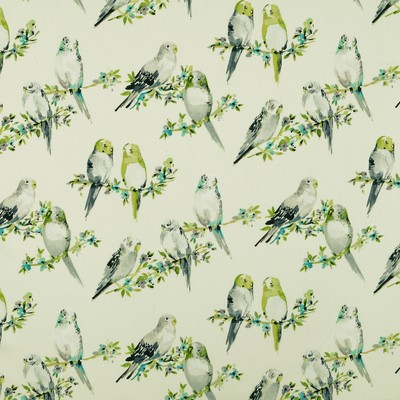 Covington TWEETY 96  DOVE