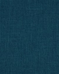 Covington York 541 Blueberry Fabric