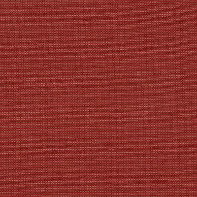 Robert Allen SOUTH COAST TANGERINE