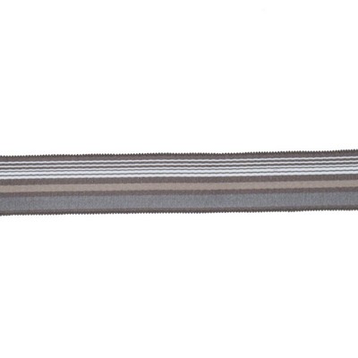 RM Coco Trim BD103 BORDER 1 7/8 STERLING