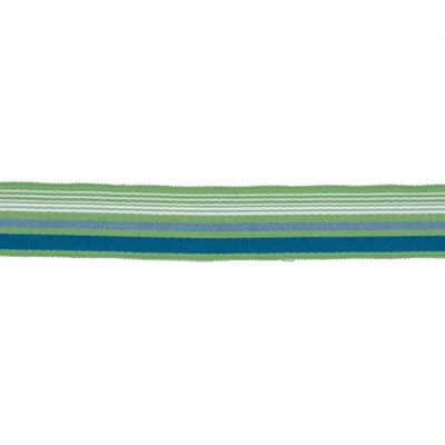 RM Coco Trim BD103 BORDER 1 7/8 CITRUS