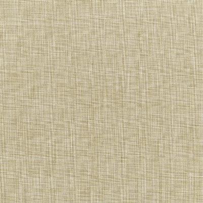 Robert Allen DESERT HILL BEIGE