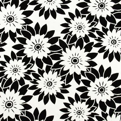 Robert Allen PHANTOM MANOR CHALKBOARD