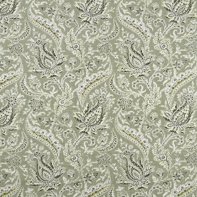 Robert Allen ANJOLIE ZINC