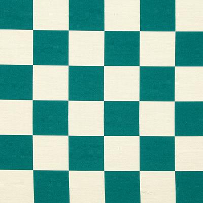 Robert Allen ALL IN CHECK AZZURA