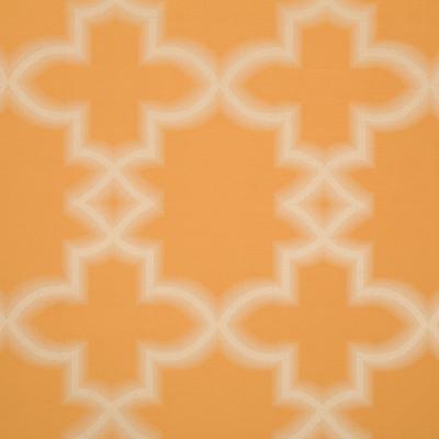 Robert Allen BLURRED LINES PAPAYA