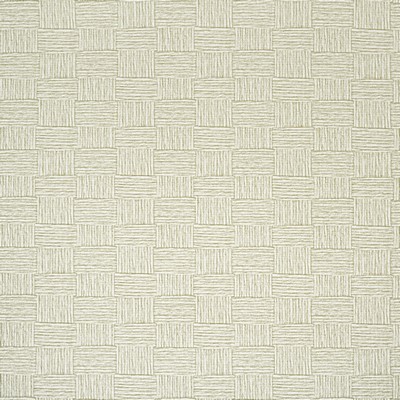 Stout Wallpaper W1016 LACEY BIRCH