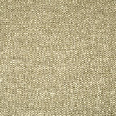 Robert Allen DREAM CHENILLE JUTE