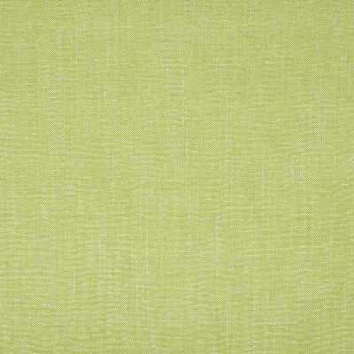 Robert Allen DREAM CHENILLE SPRING GRASS