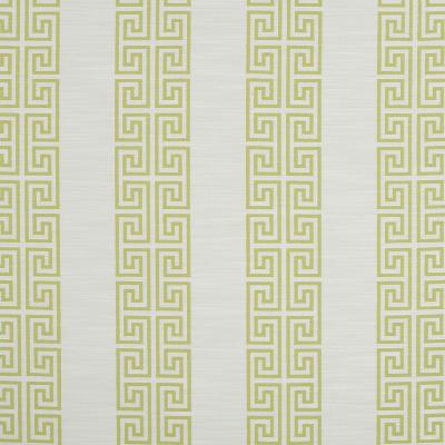 Robert Allen GREEK STRIPE SUNRAY