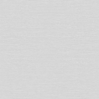 1838 Wallcoverings RAFFIA (WP) # 02 MIST