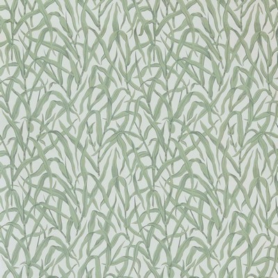 1838 Wallcoverings ORNAMENTAL GRASSES (WP) 01 SAGE