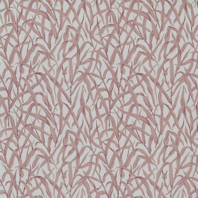 1838 Wallcoverings ORNAMENTAL GRASSES (WP) 03 ROSE