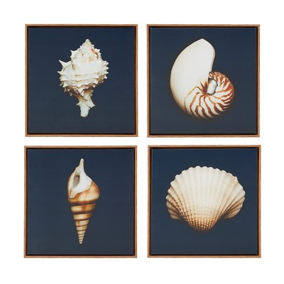 Olliix Ocean Seashells Blue