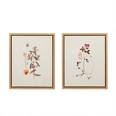 Olliix French Herbarium Multi