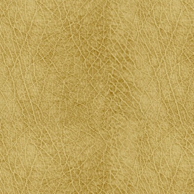 Abbeyshea Fabrics Abilene 606 Honey