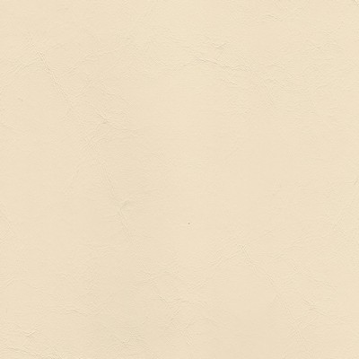 Abbeyshea Fabrics Anchor 1844 Pearl 