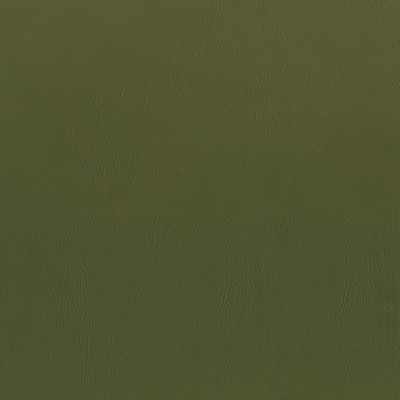 Abbeyshea Fabrics Ascent 208 Fern