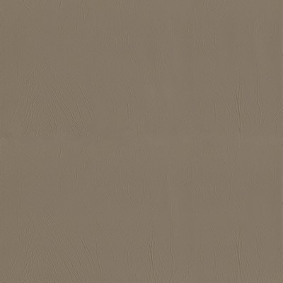 Abbeyshea Fabrics Ascent 6006 Mushroom