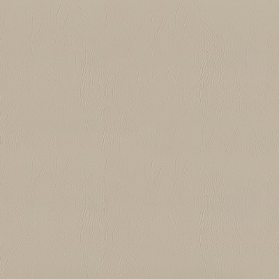 Abbeyshea Fabrics Ascent 605 Ecru