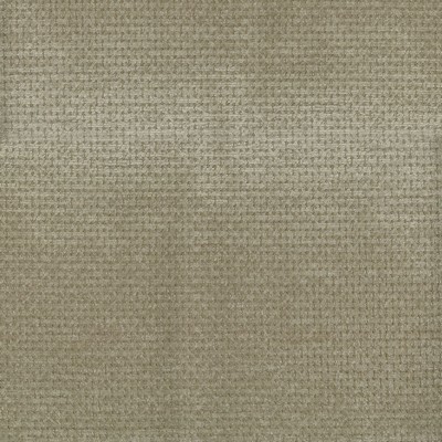 Abbeyshea Fabrics Brando 603 Putty