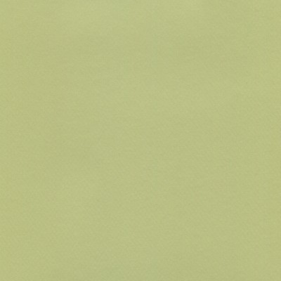 Abbeyshea Fabrics Brushed Aluminum 400 Lime Green
