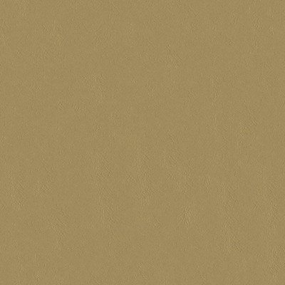 Abbeyshea Fabrics Capitano 513937 Totally Tan