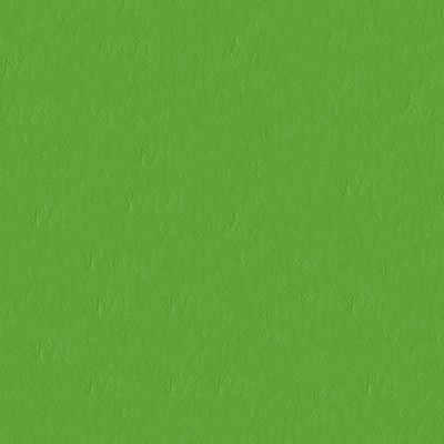 Abbeyshea Fabrics Capitano 517588 Parakeet