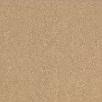 Abbeyshea Fabrics Challenger 102 Champagne