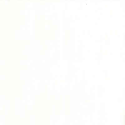 Abbeyshea Fabrics Challenger 602 Mystic White