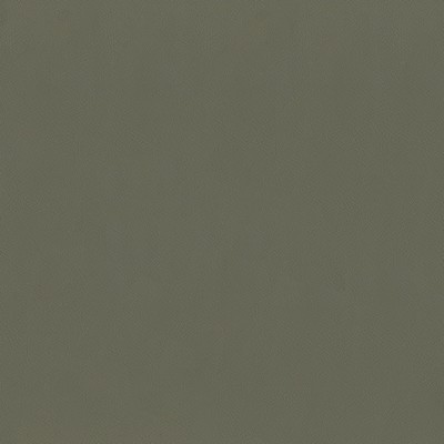 Abbeyshea Fabrics Challenger 802 Mocha