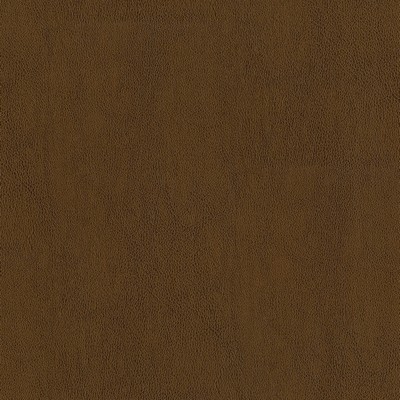 Abbeyshea Fabrics Challenger 804 Amber